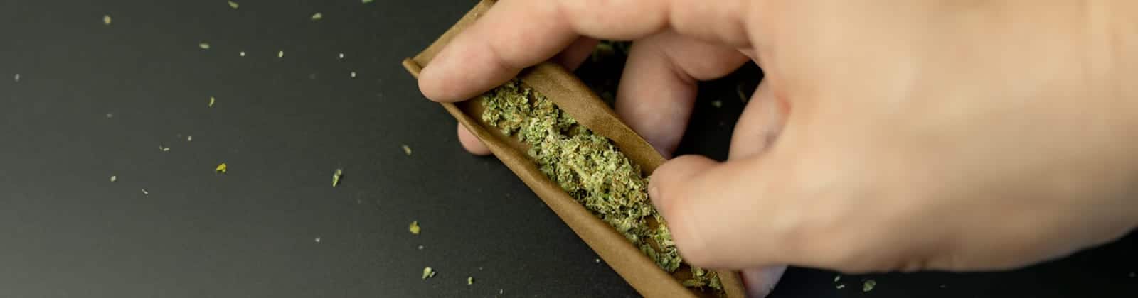 Blunts zu drehen ist gar nicht schwer, wir zeigen dir wie es geht!