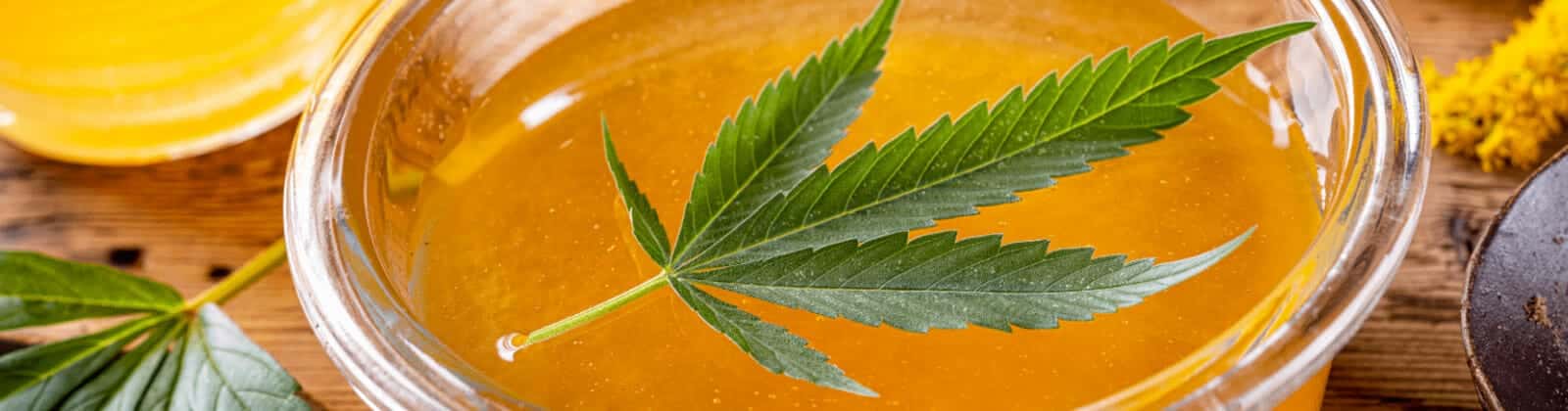 Cannabis-Honig selbstgemacht: Schritt-für-Schritt-Anleitung für deinen eigenen Hanfhonig