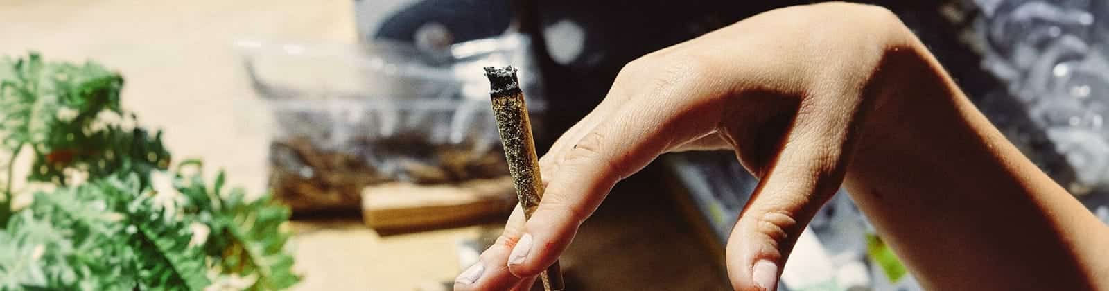 Hat dein Cannabis keine Wirkung? Wir haben ein paar Gründe für dich