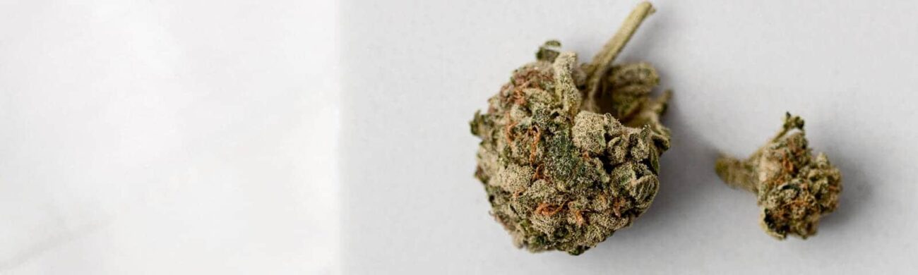 Lerne, wie Mikrodosierung von Cannabis dein Leben verbessern kann – Steigere deinen Fokus, reduziere Stress und fördere die Schlafqualität