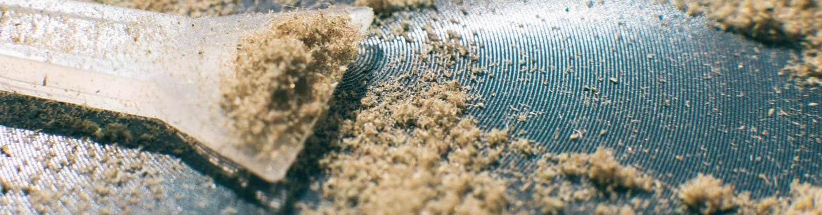 Kief: Alles, was du wissen musst und wie du es sammelst