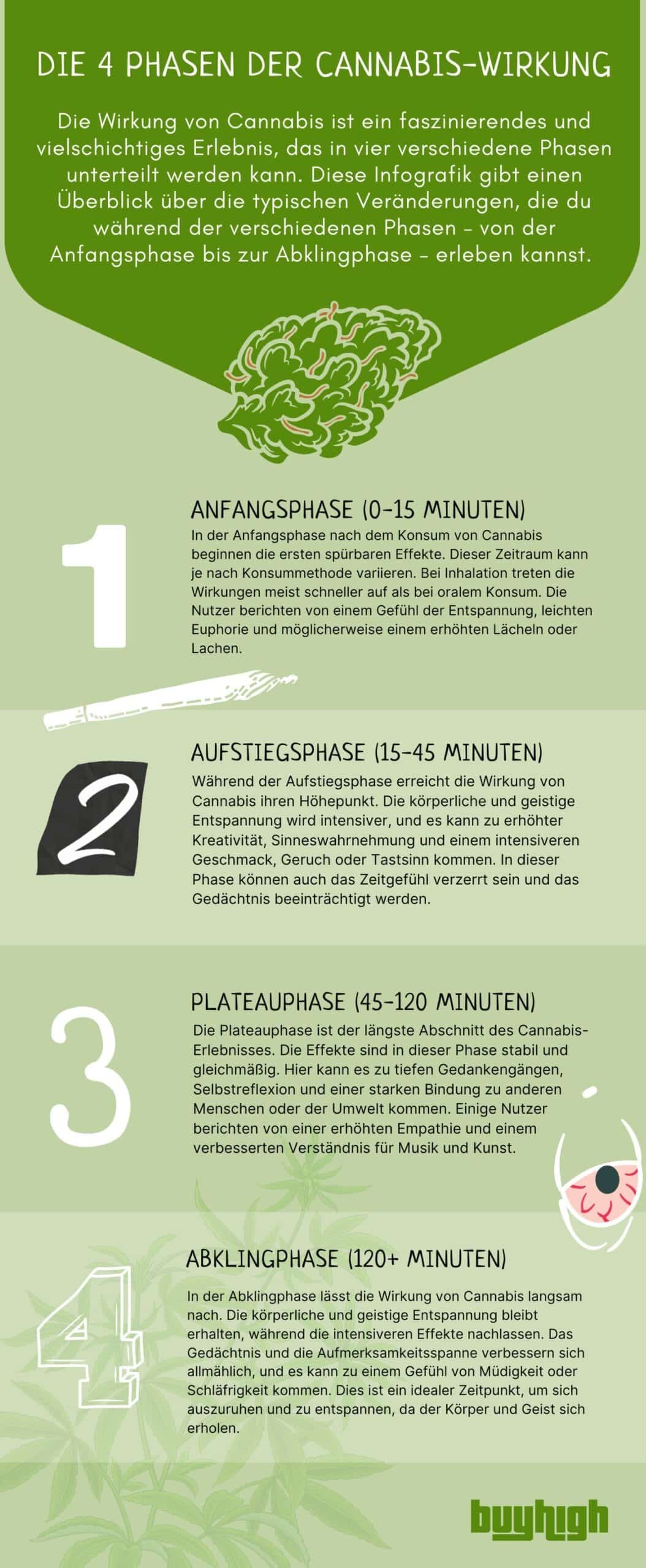 Die 4 Phasen der Cannabis-Wirkung: Eine Infografik