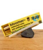 bloomer-ungebleichte-cones-queen-size-1.jpg