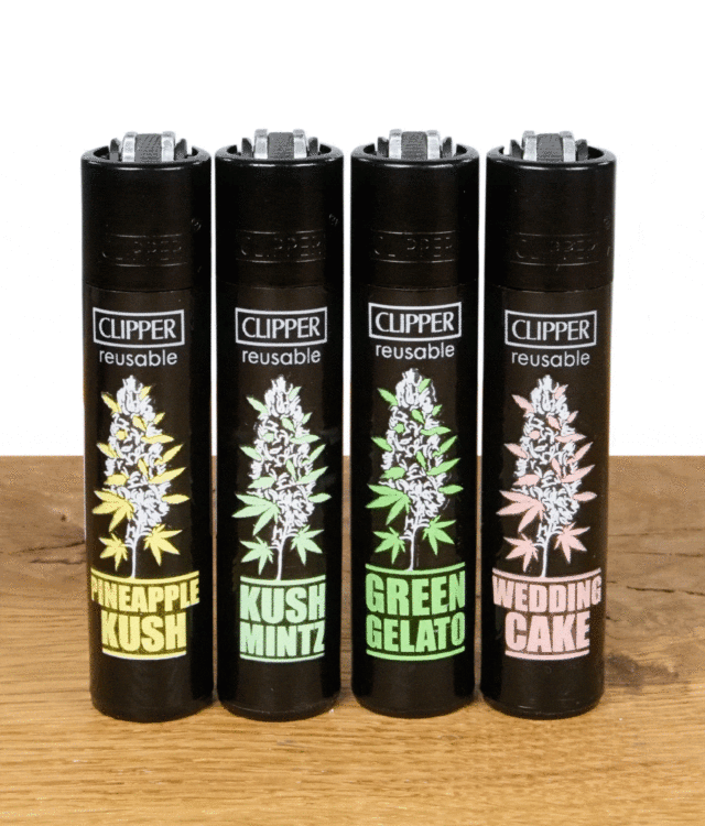 clipper-feuerzeug--plantz-6-4er-set.gif