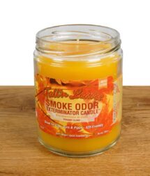 smoke-odor-falln-leaves-duftkerze-1.jpg