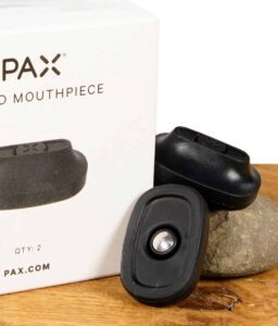 pax-ersatzmundstueck-2er-pack-hohes-mundstueck-1.jpg
