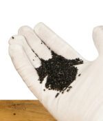 Nahaufnahme einer Hand in weißen Handschuhen, die vegane Kokosaktivkohle in Granulatform hält.