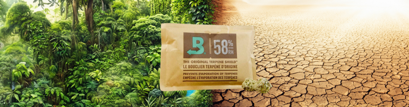 Boveda Feuchtigkeitspacks für Cannabis auf einem Bild mit halb- feuchter, halb ausgetrockneter Landschaft im Hintergrund.