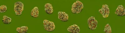 Das THC Abbauprodukt und Drogentests sind hochaktuelle Themen welche viele Cannabis Nutzer betreffen. Wir beleuchten, was dahinter steckt!