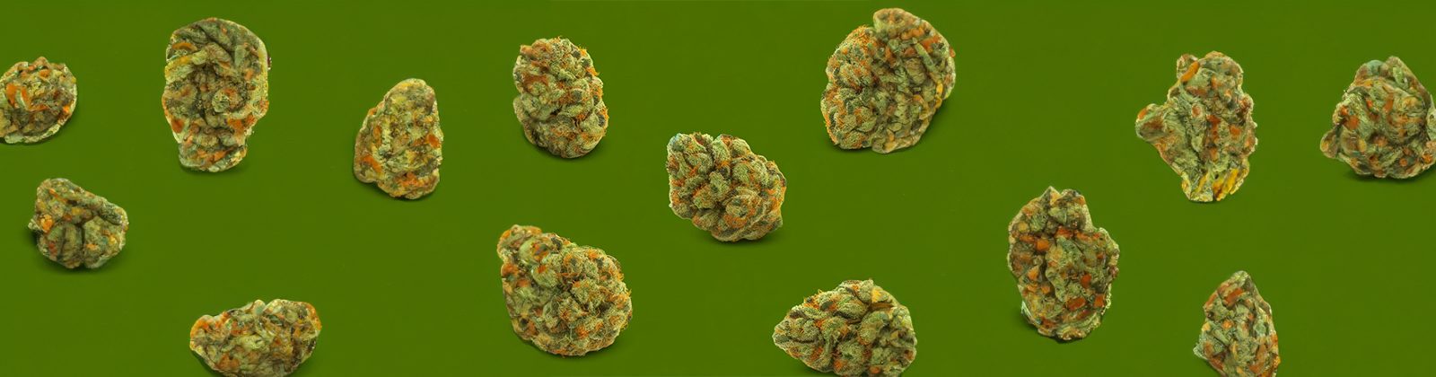 Das THC Abbauprodukt und Drogentests sind hochaktuelle Themen welche viele Cannabis Nutzer betreffen. Wir beleuchten, was dahinter steckt!
