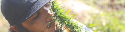 Warum stinkt Cannabis so? Diese Frage stellen sich viele Menschen die schonmal mit Cannabis in Berührung gekommen sind. Wir klären auf!