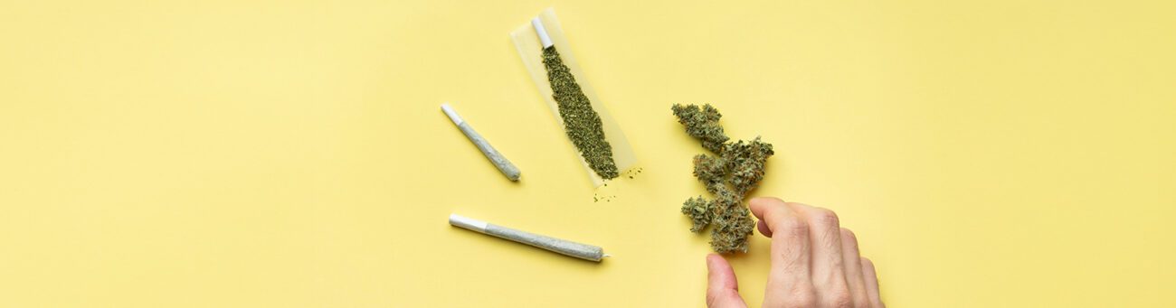 Cannabisblüten und vorgerollte Joints beim Cannabis dosieren auf gelbem Hintergrund, mit einer Hand, die nach den dosierten Blüten greift.