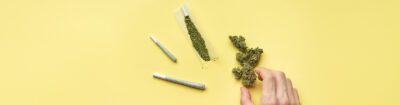 Cannabisblüten und vorgerollte Joints beim Cannabis dosieren auf gelbem Hintergrund, mit einer Hand, die nach den dosierten Blüten greift.