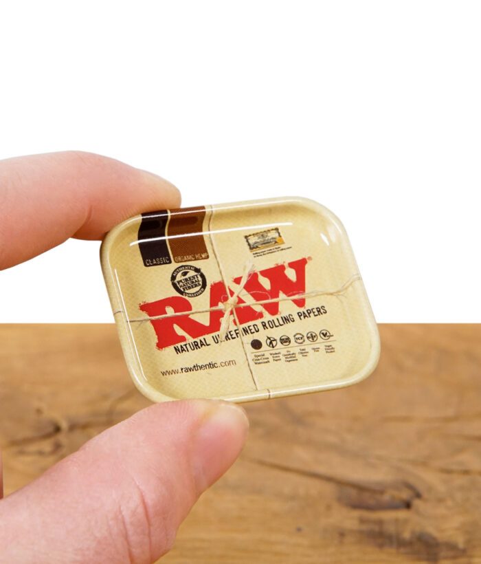 raw-tiny-tray-anstecker-2.jpg