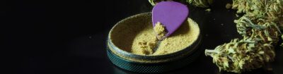 Skuff sammeln im Grinder mit feinem Dry Sift und violettem Schaber, daneben liegen Cannabisblüten auf schwarzer Unterlage.