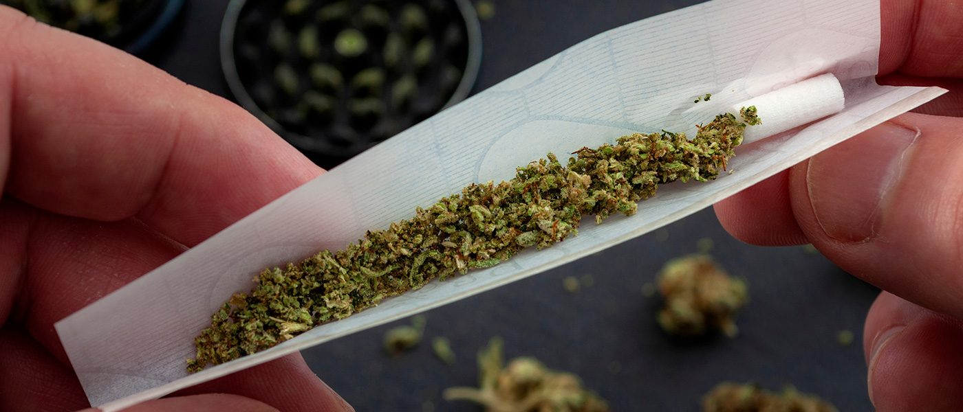 frisch gemahlenes Cannabis liegt in einem offenen Drehpapier mit Filter, vorbereitet zum Drehen.