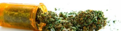 Medizinisches Cannabis oft trocken – Abbildung zeigt trockenes Gras neben oranger Dose von der Apotheke.