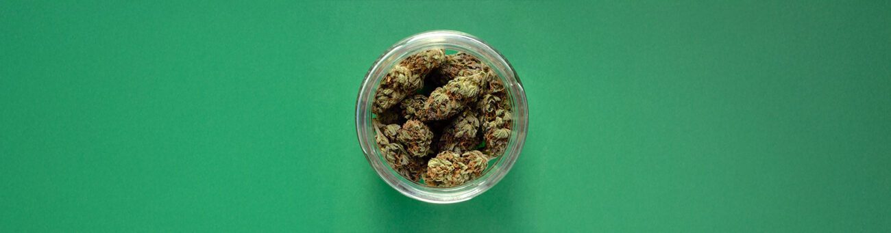 THC-Gehalt in Cannabis: Durchsichtiges Glasgefäß mit frischen Cannabis Buds