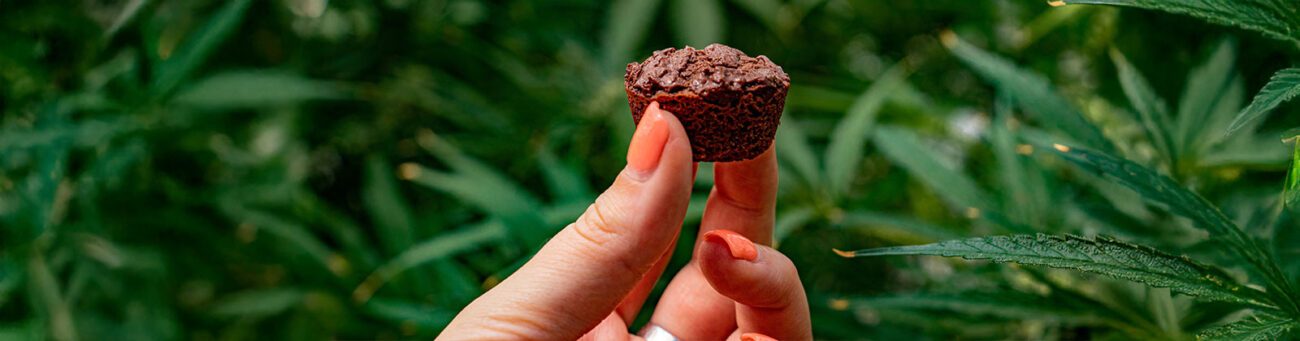 THC Edibles wirken stärker