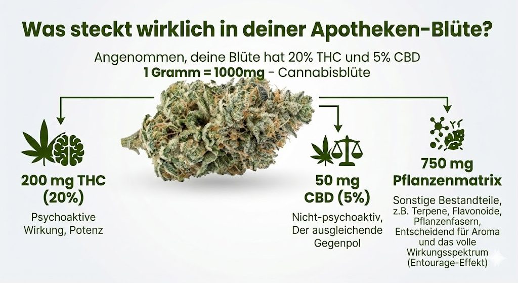 THC Gehalt in einer 1 Gramm Cannabisblüte