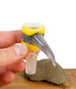 Gelber Borosilikatglas-Bongkopf mit wig-wag Muster und gemustertem Griff in der Hand.
