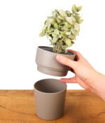 Hand öffnet den Buddies Flower Pot Safe. Der Deckel mit Kunstpflanze wird vom grauen Kunststoff-Geheimversteck abgenommen.
