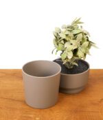 Zerlegter Buddies Flower Pot Safe auf einem Holztisch. Graues Kunststoff-Geheimversteck neben dem Deckel-Aufsatz mit künstlicher Pflanze.